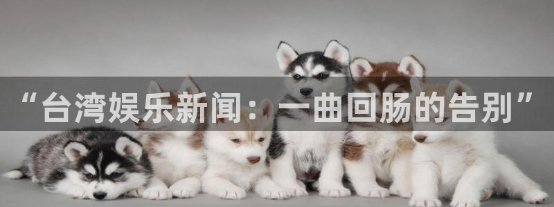 糖果派对大爆分：“台湾娱乐新闻：一曲回肠的告别”