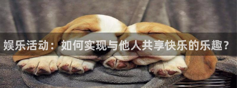 糖果派对动漫：娱乐活动：如何实现与他人共享快乐的乐趣？
