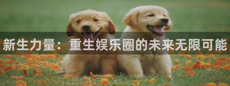 辉煌国际糖果派对：新生力量：重生娱乐圈的未来无限可能