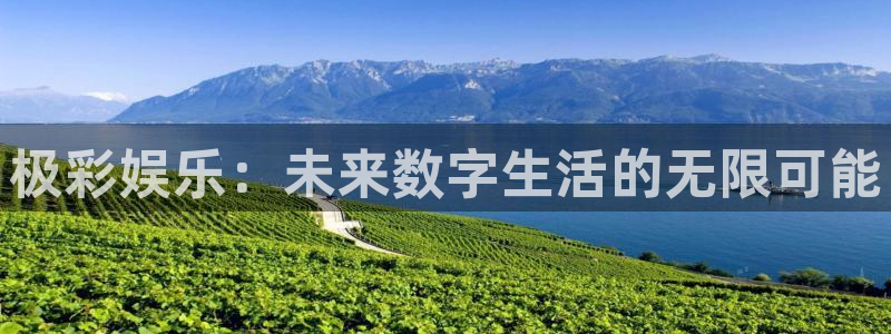 糖果派对的网址：极彩娱乐：未来数字生活的无限可能