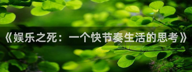 单机版糖果派对：《娱乐之死：一个快节奏生活的思考》