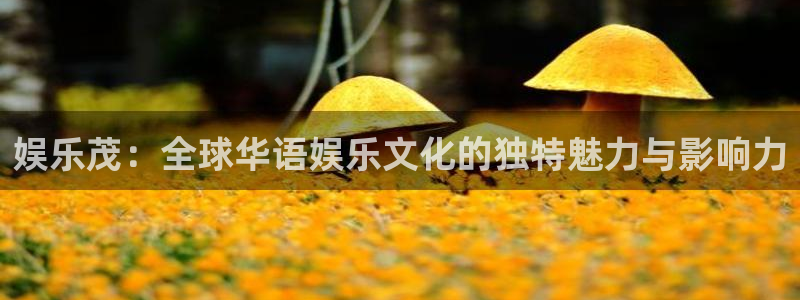 糖果派对免费体验网址：娱乐茂：全球华语娱乐文化的独特魅力与影响力
