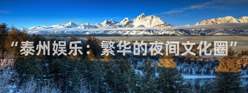 糖果派对高爆视频：“泰州娱乐：繁华的夜间文化圈”